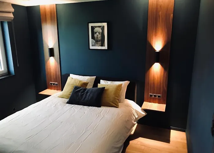 Imamam Сasa de vacaciones